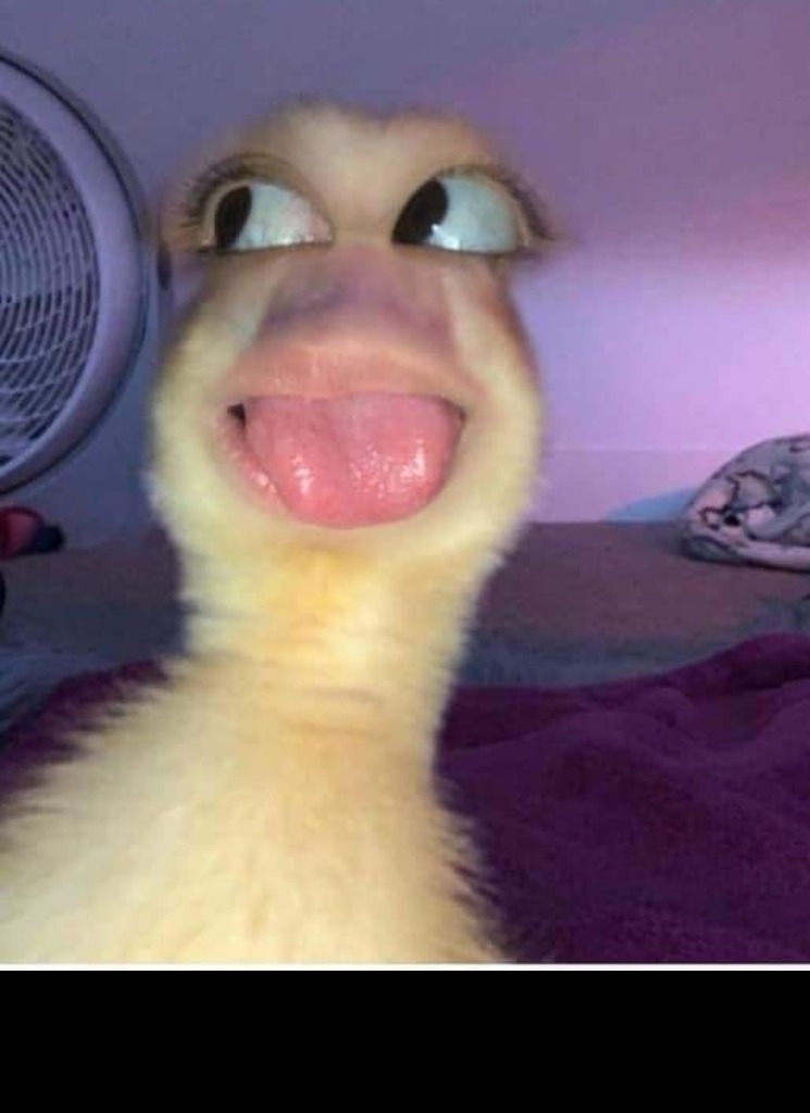 Guest_pristinexo
