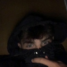 avpic