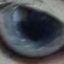 Guest_Alii33
