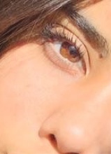 Guest_Lianna44