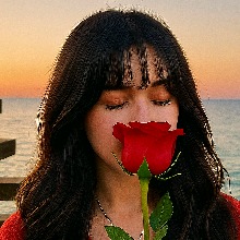 Guest_Risonha2