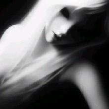 Guest_Erika137754