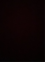 immagine avatar