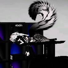 ebdin