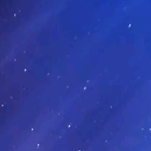 Guest_Maya487314