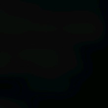 Guest_Ryan978017