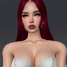 Guest_Ayla6766