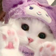 Guest_Yiyi741554