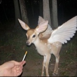 Guest_ogwitchy