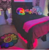 Guest_dadollypopp