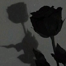 Guest_Mia619732