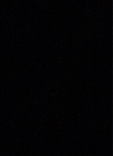 Guest_bjfine3