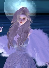Guest_NTpom9