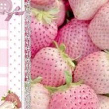 Guest_Liline16
