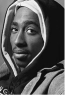Guest_kingdee737800