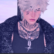 avatar-billede