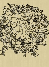 Guest_cn69247