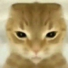 Guest_Xander17