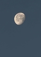 Guest_Luna854961