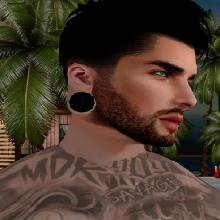 Guest_Nando162154