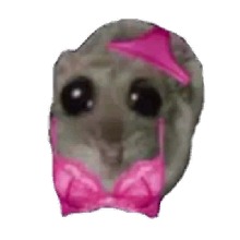 Guest_Ryna00