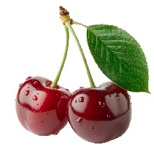 immagine avatar