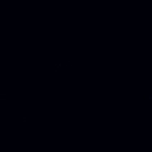 Guest_Araujoxz1