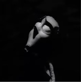 Guest_LaFlame24
