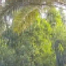 Guest_Strlla3