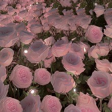 Guest_Mariana426781