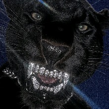 avatar picture