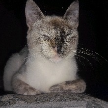 Guest_Kiki822860