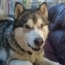 HUGO998761