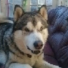 HUGO998761