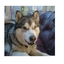 HUGO998761