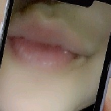 Guest_Abeja5