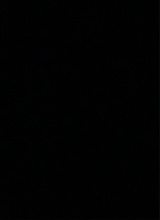 Guest_shadowpaletaupe358d
