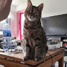 Guest_BBayby