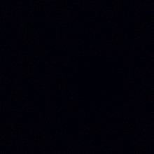 Guest_Ale181202