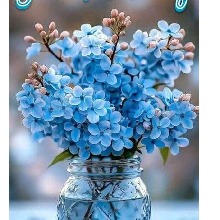 Guest_Suni31