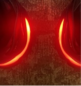 Guest_Tj828420