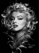 Guest_zara897776