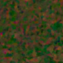 Guest_Jordan417690