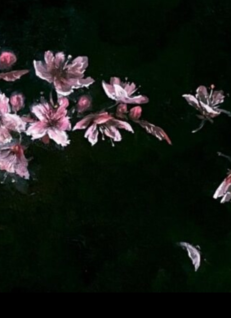 Guest_NeverNeverland