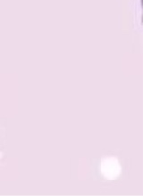 Guest_lily21171