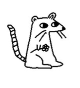scatrat