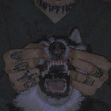 Guest_Needbcka