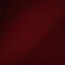 Guest_Aysla20