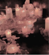 Guest_Cheyanne3214564