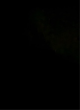Guest_tastydeepcarmined41d